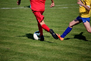 九游体育网页入口-世界青少年自行车赛中国骑手再创佳绩，2020全国青少年自行车锦标赛