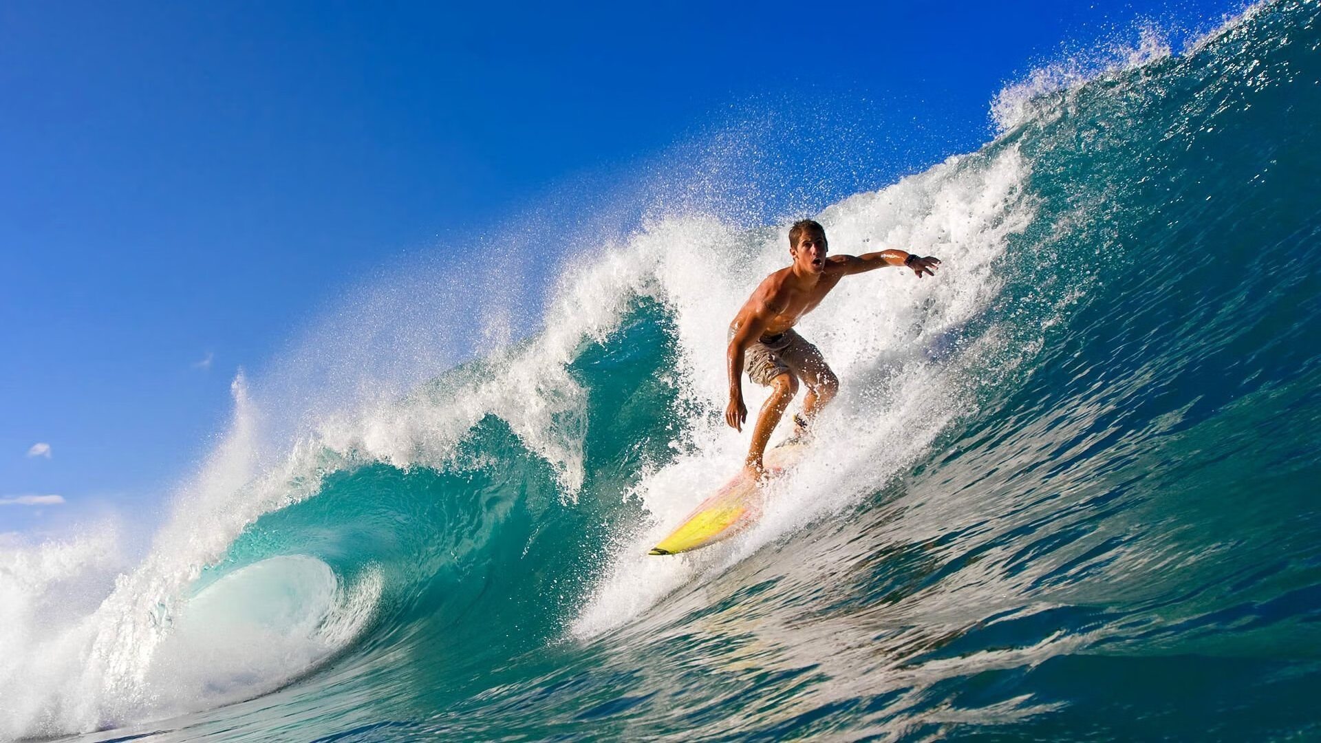 德甲加强青训体系建设,培养未来之星,德甲青训最好俱乐部